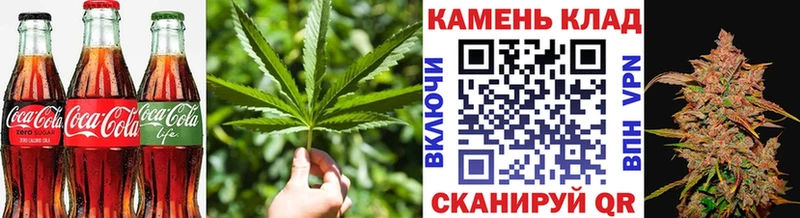 Canna-Cookies марихуана  KRAKEN как зайти  Новомичуринск  как найти наркотики 