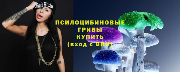дживик Абинск