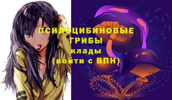 кокс Алексеевка
