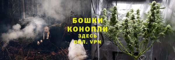 гашик Абаза